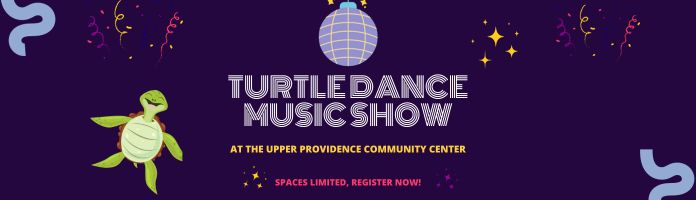 Turtle Dance Music Show
