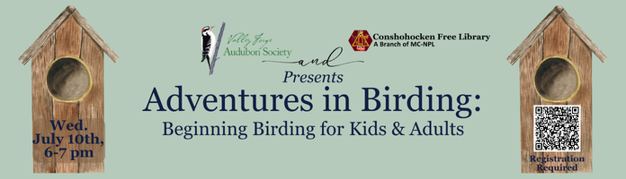Adventures in Birding: Beginning Birding for Kids & Adults