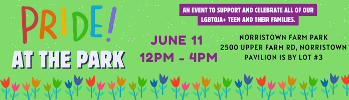 Pride at the Park - A QHive Event